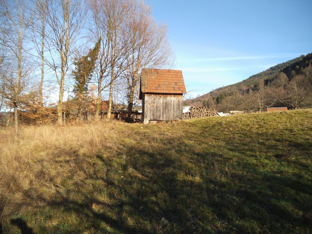 Ferienwohnung Kirchblick Langenbrand Extérieur photo